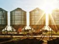Cleaning Sanitation Tank, Silo & Day Bin